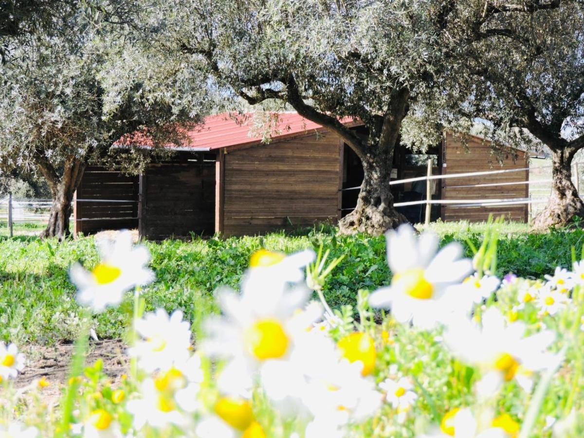 Nogueira Country House Vendégház Fundão Kültér fotó