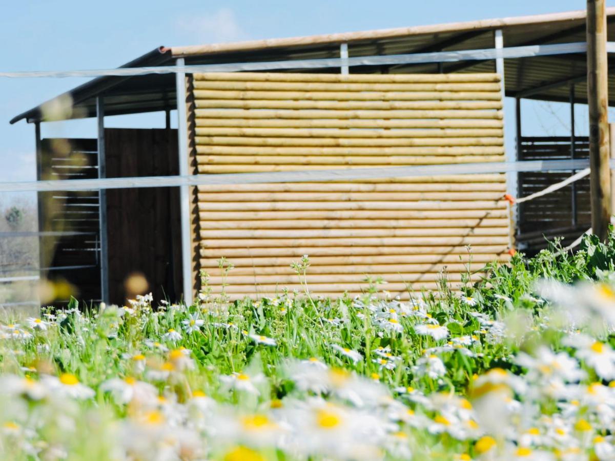 Nogueira Country House Vendégház Fundão Kültér fotó